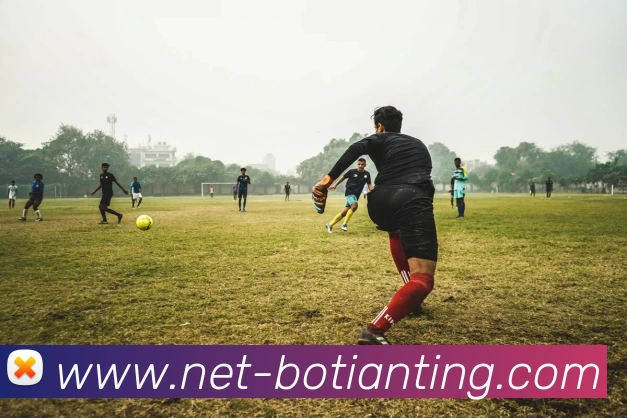 博天堂平台生态图